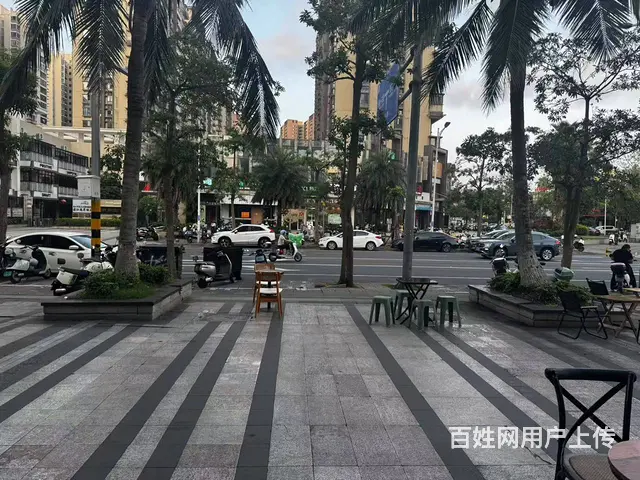 （51旺铺推荐）海甸岛滨江海岸一期193平旺铺房东直租 - 图片 12