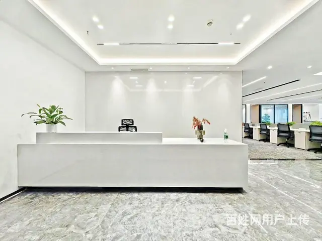 山鸟月中寒，梦醒平盛下。正大国际 豪华装修  业主急租！ - 图片 1