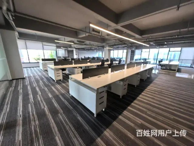 顶楼带6个露台 每个办公室都有露台 视野开阔带花园可随时看房 - 图片 5