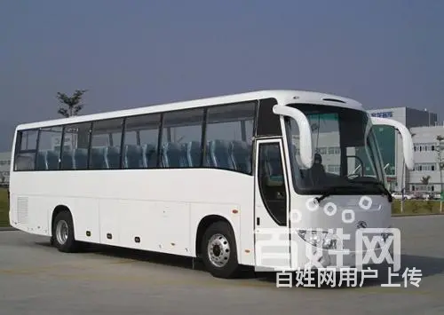 常州宠物托运怎么收费/宠物专车上门接送 - 图片 8
