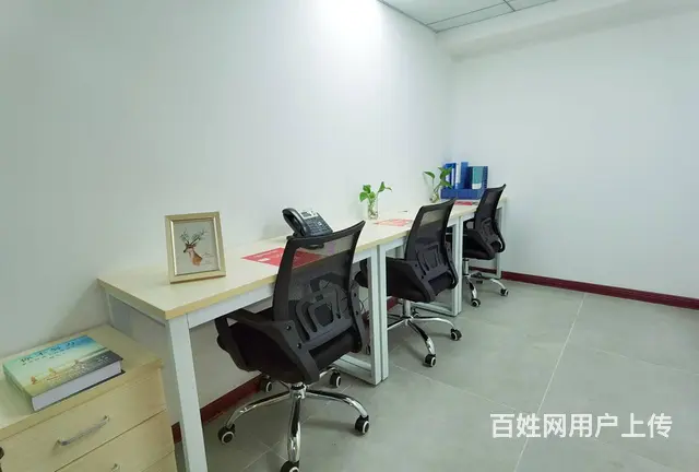 上市公司给你提供创业服务，一月低至224，服务全包 - 图片 6