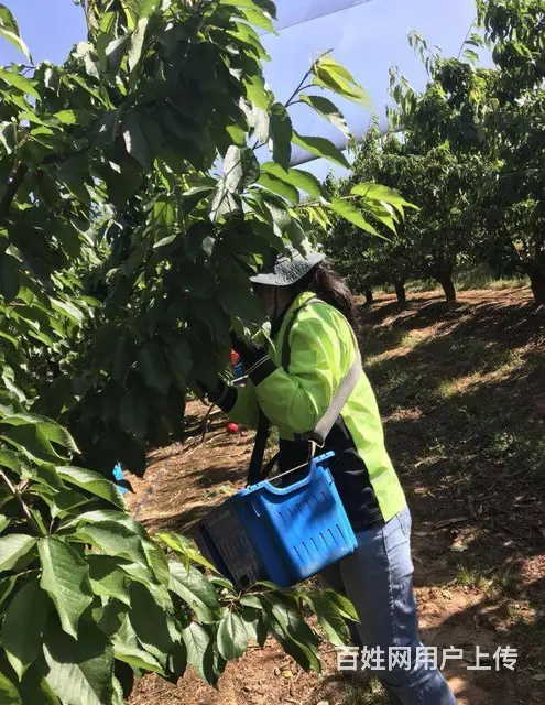 吉林松原资质公司招木工瓦工水电工电焊工铲车司机包吃 - 图片 2