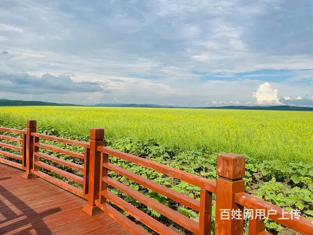 呼伦贝尔旅游包车费用攻略巴特尔 - 图片 4