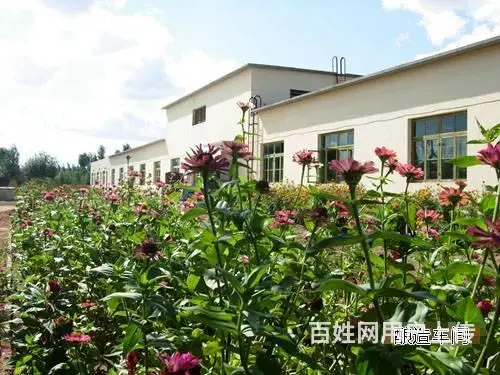 内蒙古奈曼旗白酒厂房整体出售 - 图片 7