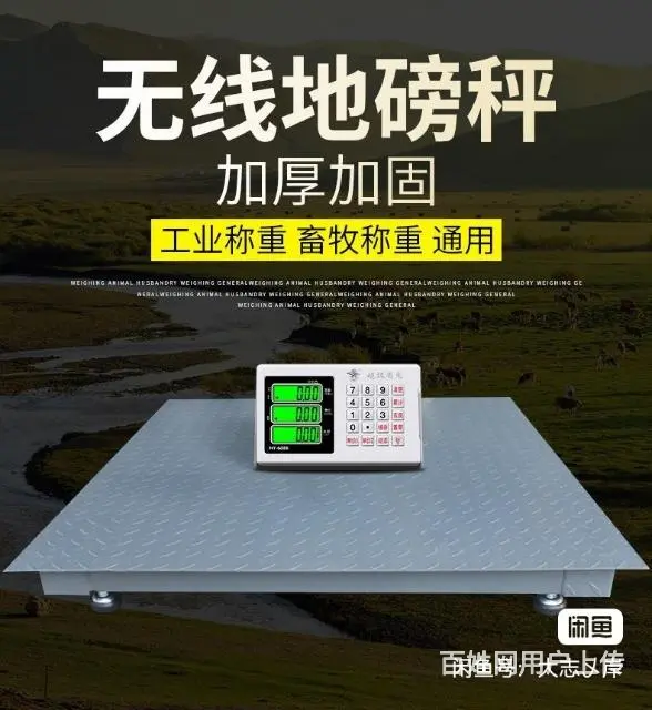 地磅 - 图片