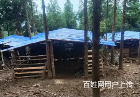 常德到长沙商务车拼车黑车电话号码 - 图片