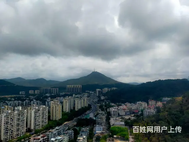 （51旺铺推荐）凤凰路91.33平小区房出让 - 图片 9