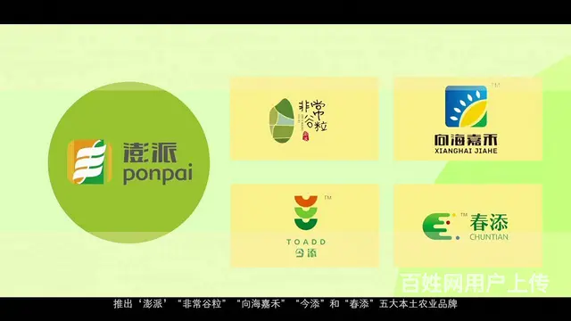 企业宣传片3D裸眼技术 - 图片 2