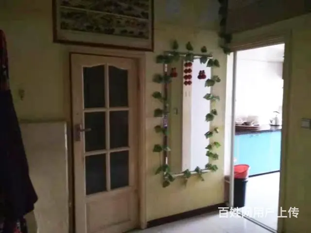 南山名苑小区 商住两用2厅 精装修 出售 - 图片 2