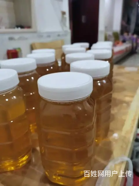 甜甜蜜蜜 - 图片 1