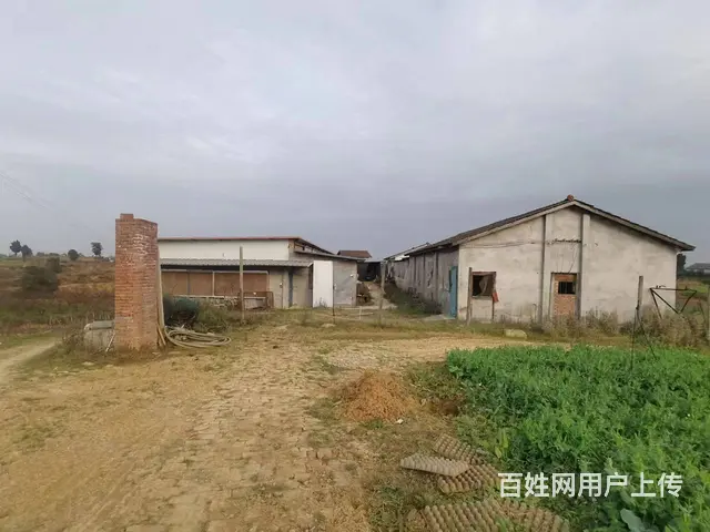 旺铺居）房东直租方水镇冻库，保鲜库，厂房仓库，养猪场 - 图片 9