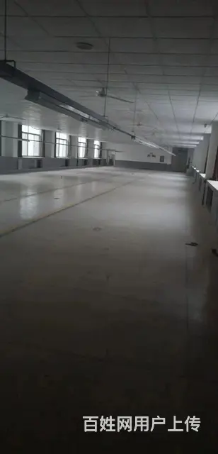 九龙城南厂房仓库出租 - 图片 2