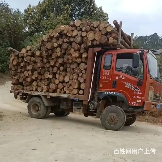 转让四驱车重汽737 - 图片 5
