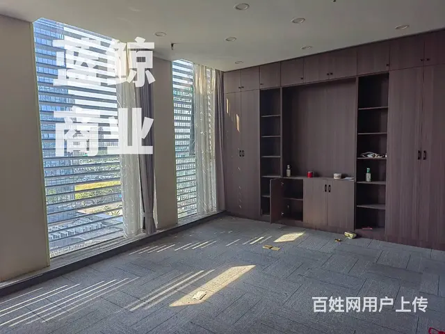 绿地商务城蓝海office纯写字楼，楼层好，边户采光，多隔间 - 图片 6
