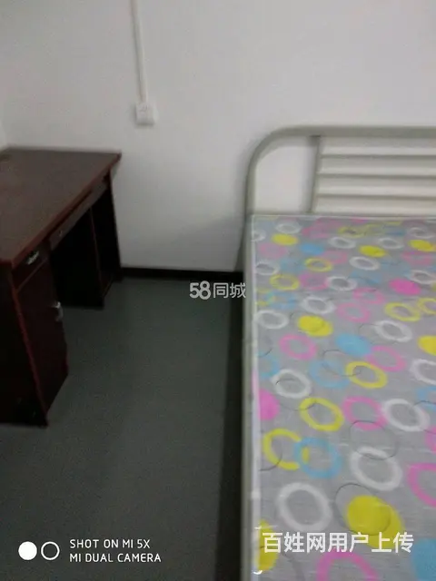 鹿港左岸  简单装修 中介勿扰 - 图片 4