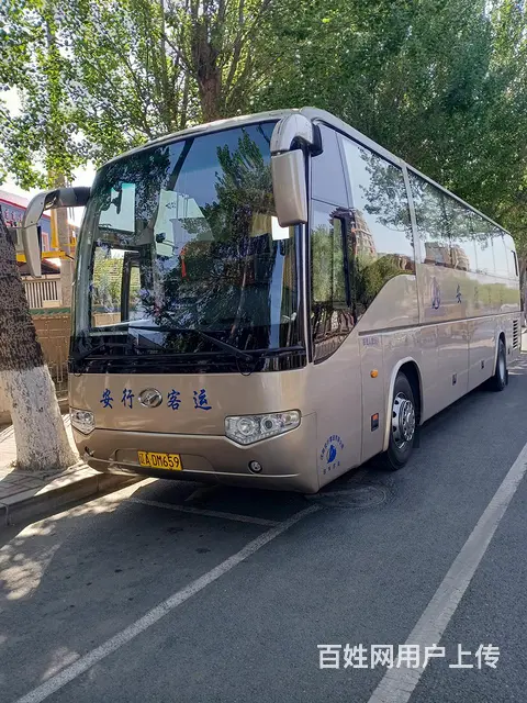 55座旅游车出租，承接单位通勤，旅游包车，机场接送，商务会议 - 图片 1