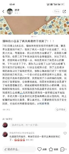重庆寻猫团队，重庆找猫团队，重庆寻宠物团队 - 图片 2