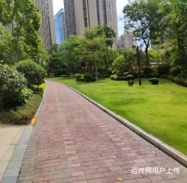 店长重点推荐！星光耀广场3室家具电器齐全非常干净 - 图片 12
