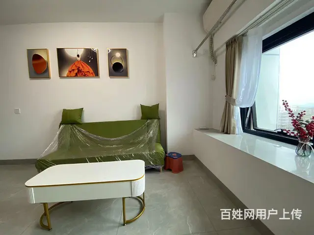 珈宝广场loft公寓出租 - 图片 6