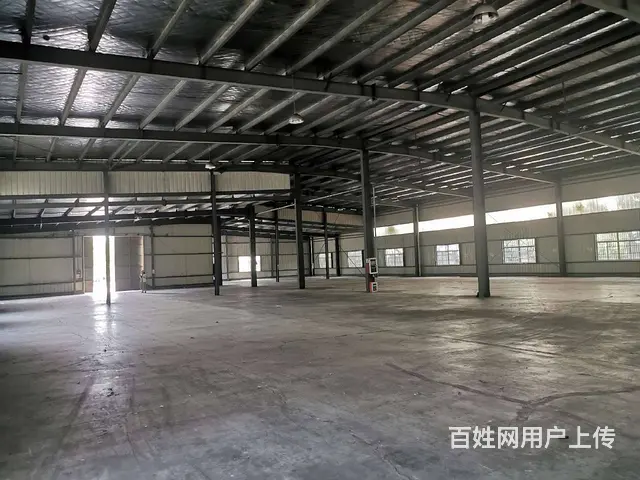 碧溪沿江开发区独栋1600平单层钢结构厂房，场地大，两个大门 - 图片 1