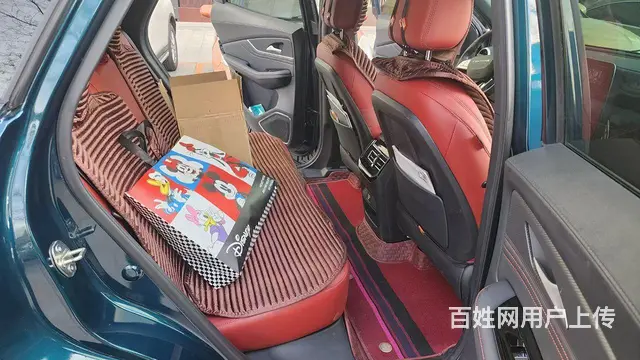 东风风行 - 图片 5