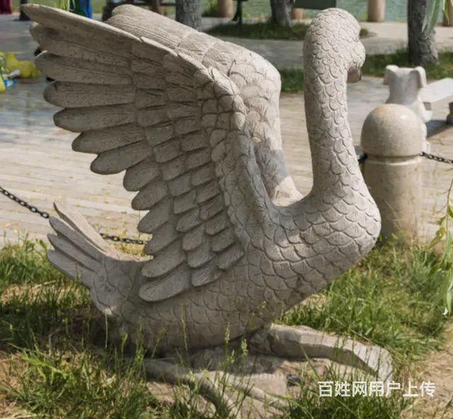 石雕天鹅#动物雕塑#园林景观装饰 - 图片 3
