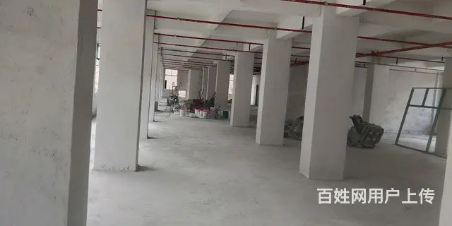 出租厂房仓库 - 图片 4