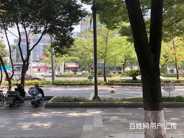 （兴铺）东津路临街旺铺出租无转让费适合各种行业 - 图片 5