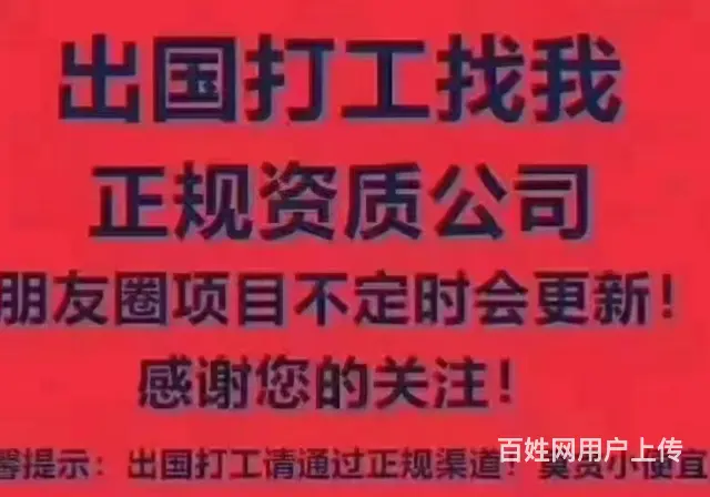 沈阳和平欧美亚出国新加坡韩国日本欧洲正规工作 - 图片 1