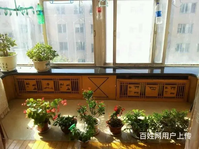 胜丰小区，学区丰满二实验二十九中学 - 图片 4