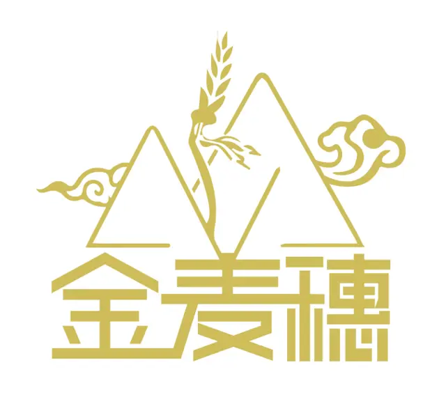 西宁哪里可以设计商标？专业logo设计就到青海乐舟 - 图片 6