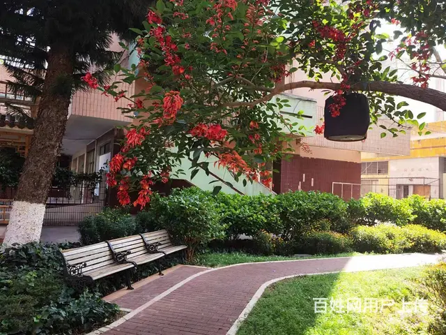 市国土局 普通住宅2厅 精装修 - 图片 8
