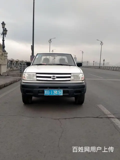 其他 皮卡 - 图片 1