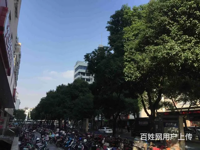 局小实验！电梯房！地段！的资源！金鼎公寓 - 图片 9