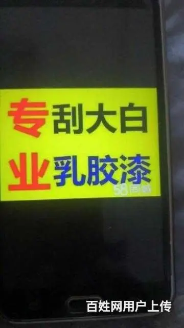专业刮白乳胶漆 - 图片