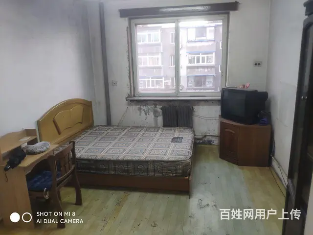 双喜二小区南北单间出售 - 图片 5