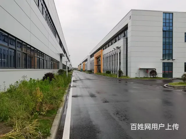 12米高墙顶都带隔热的高标准工业园厂房 - 图片 1