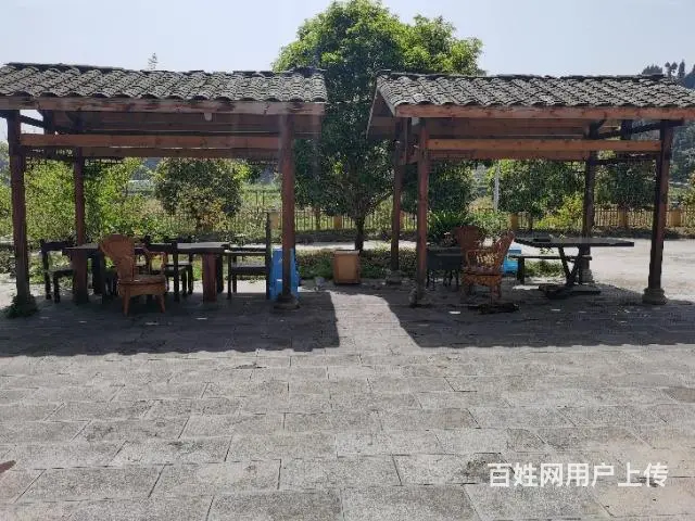 新浦新浦虾新快线农家乐转让 - 图片 3