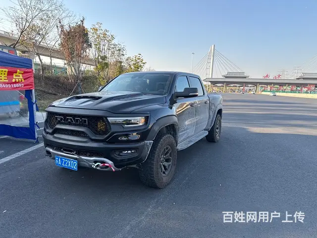 霸王龙 - 图片 3