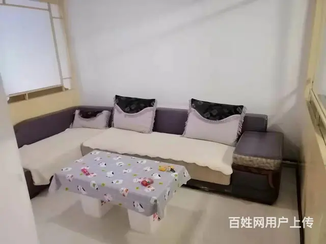 工农区新鹤B区房屋出租 - 图片 3