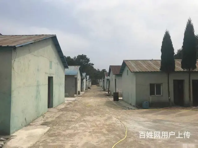 （老板本人）望城区独门独院厂房/仓库房东直租  6130 - 图片 3