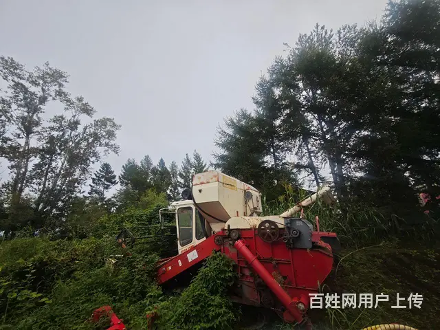 雷沃谷神RF40   也就是290 - 图片 1