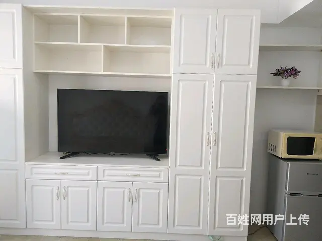 宝龙公寓一室一厅一卫 - 图片 4