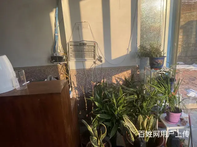 【搞定了！】经区豪业圣迪附近临街旺铺出租 - 图片 5