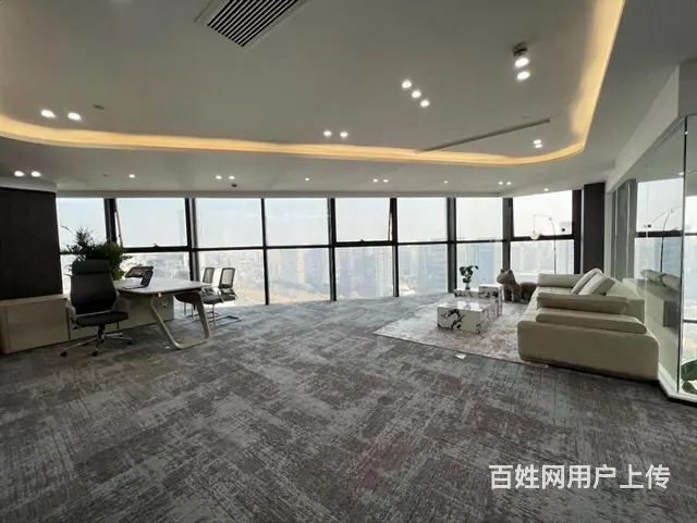 江陵路地铁口 精准LOFT户型边套朝南户型，6米层高带家具! - 图片 5