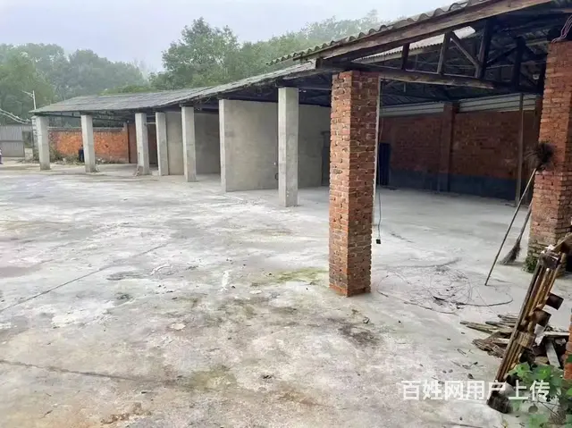 （老板本人）望城区独门独院厂房/仓库房东直租6758 - 图片 5