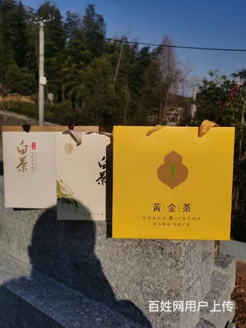 春节送礼选好茶 黄金叶茶 安吉白茶 小戴白茶直销 - 图片 1