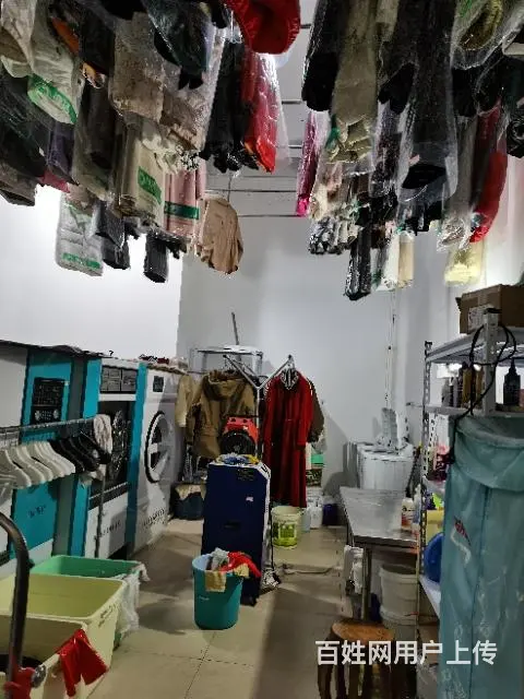 （雅德）碧桂园澳洁洗衣店整体转让 - 图片 4