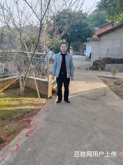 征婚 - 图片 1