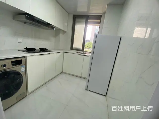 星河COCO植物园金融广场旁全新精装一室一厅带天然气押一付一 - 图片 2